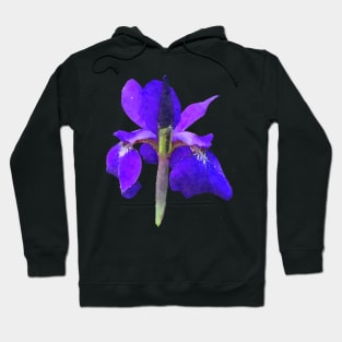 Purple Iris Flower Blue Hoodie